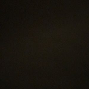 Meet your Posher, Rene